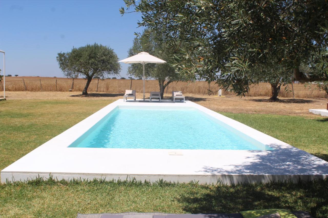 Casa Do Roxo - Eco Design Country House Santa Vitória Kültér fotó
